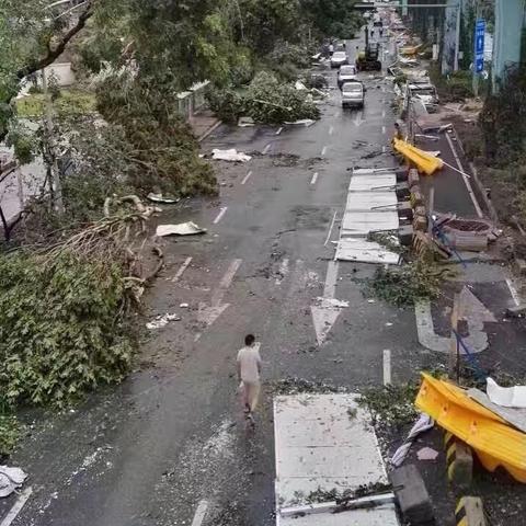厦门市今年走了多少人口
