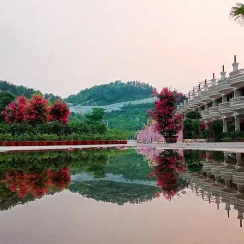 广州市恒大门票多少钱