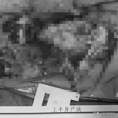 沈阳市火葬场在哪个区