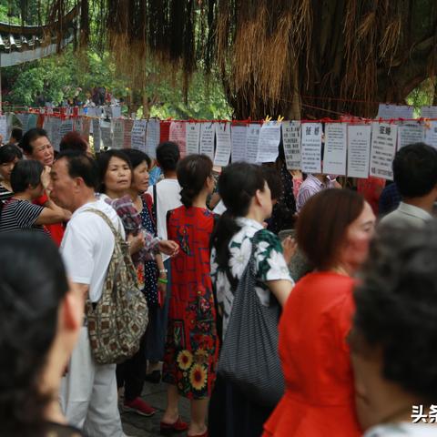 南宁民生广场相亲大会不报名可以进去嘛？