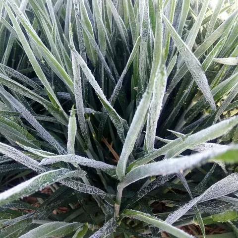 保定市到商丘市多少公里