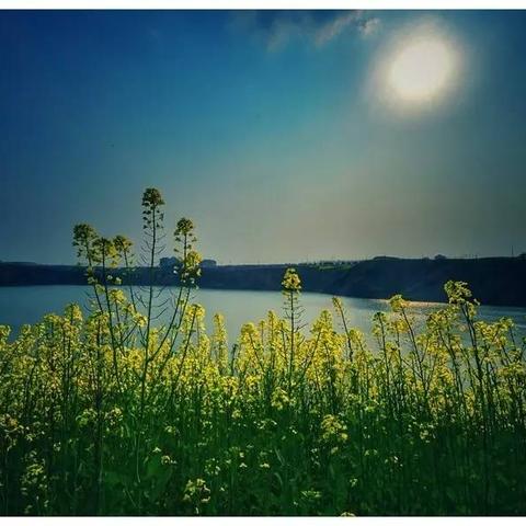 江苏苏州常熟市大义出租房的长尾关键词有什么