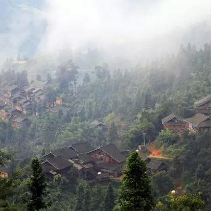 林木顺厦门大学那里人？