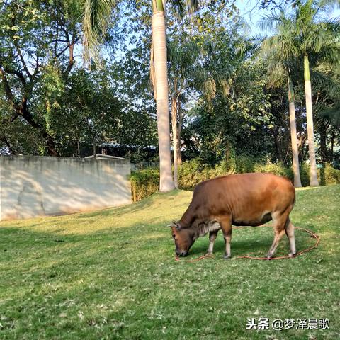 广州市人民为什么过冬至