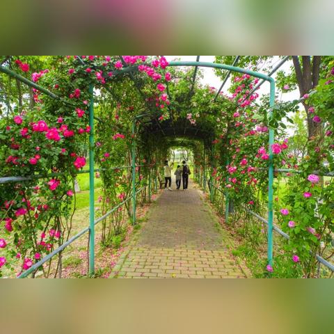 2025.12.17苏州今天空气质量指数怎么样