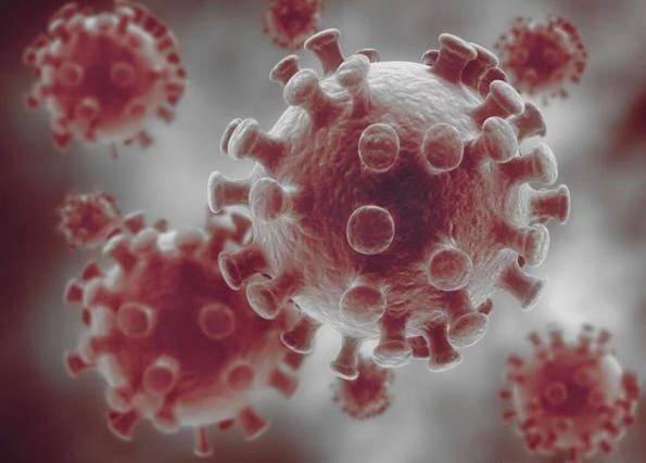 北京新冠
 ,北京新冠疫情最新消息今天