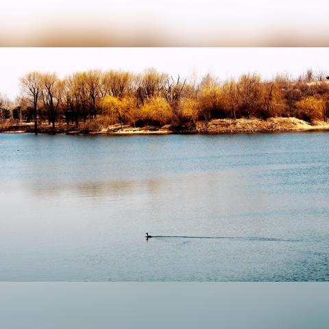 沈阳市丁香湖怎么走