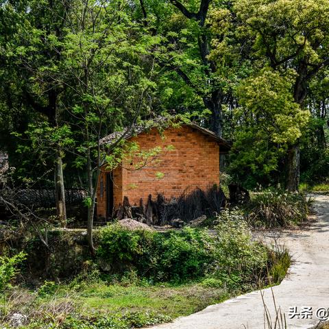 赣州市总共有多少个县城