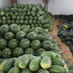 广州市天平架有什么学校