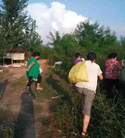 大学生回乡创业养虾遭哄抢？公安部门已行政拘留3名村民