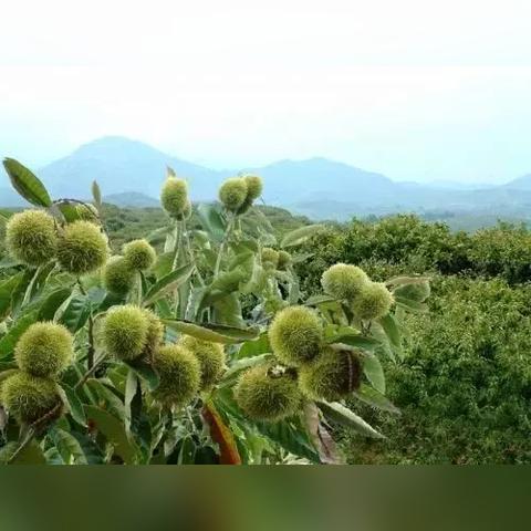 天津哪个山脉好