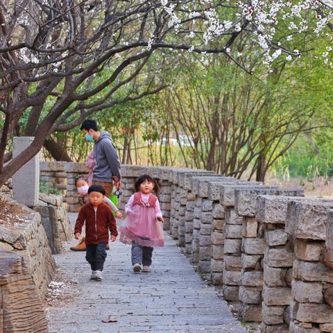 济南市中区哪个公园最好