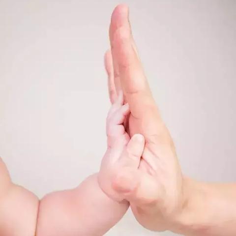 儿歌我们都是好朋友/儿歌我们都是好朋友完整版 儿歌我们都是好朋友/儿歌我们都是好朋友完整版