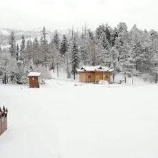 成都市地铁免票时间表的长尾关键词有什么