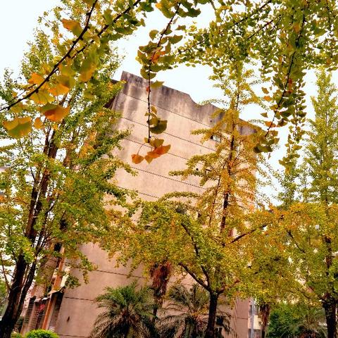 【桂林今日黄金价格】2025年5月16日桂林黄金价格是多少