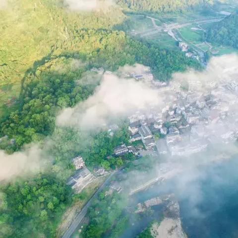 桂林市附近大树有哪些地方