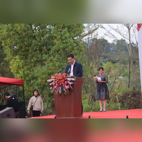 河南亿佳实业的相关长尾关键词有哪些