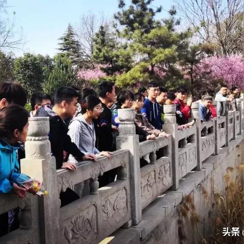 济南市直是什么意思