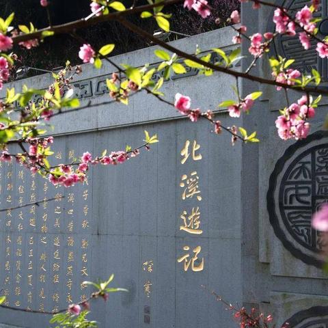 福建哪个山里可以度假