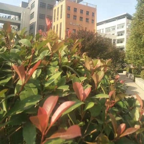 河南经贸职业学院成绩的相关长尾关键词有哪些