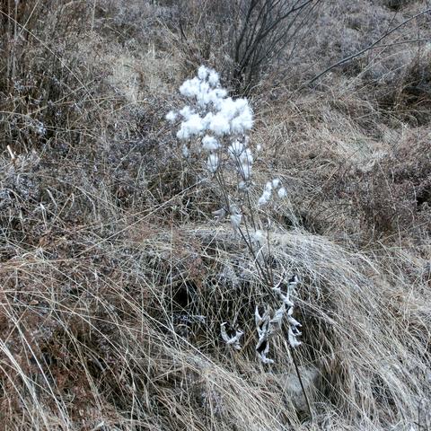 兰州市冬季衣服哪里买好
