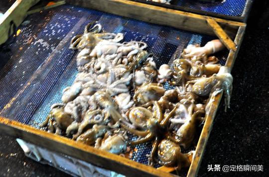 回家过年青岛海鲜市场生意红火冰冻大虾28元一斤市民成箱购买