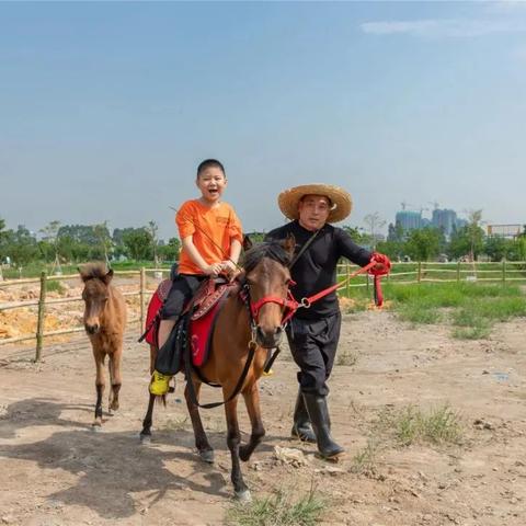 东莞市二手小船的长尾关键词有什么