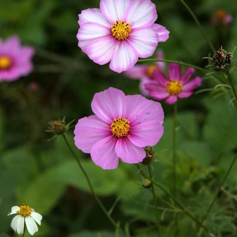 南宁极乐的相关长尾关键词有哪些