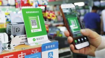 PHP微信支付接口安全实战:揭秘风险与防护策略