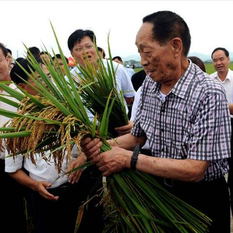 长沙市跟海南哪个大