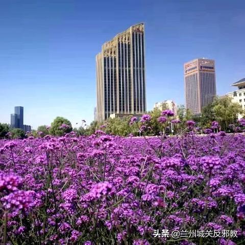 兰州市的公园都在哪里啊