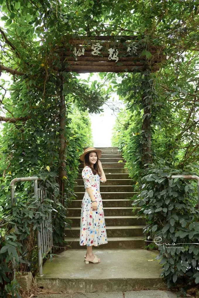 小红书蒲公英怎么申诉 小红书蒲公英怎么找