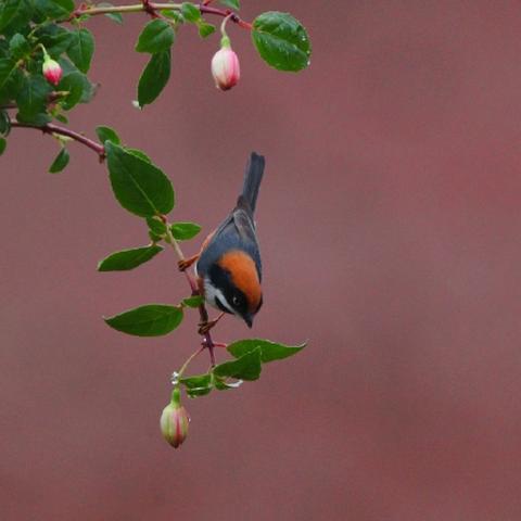 江苏省无锡市单位的长尾关键词有什么