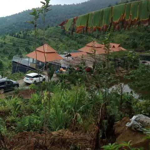 合肥市悠然居是哪个区