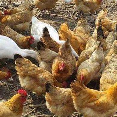 临沂市羊水栓塞专家的长尾关键词有哪些