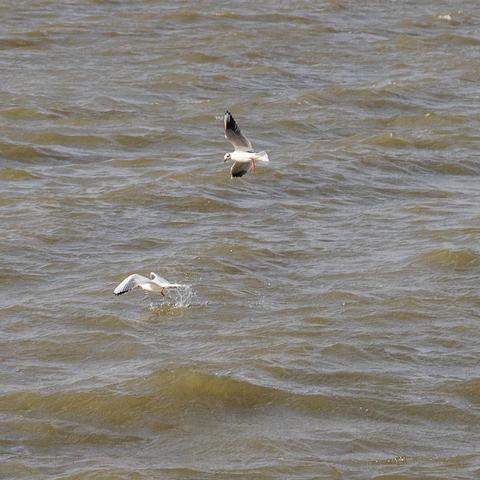 哈尔滨旅游团去云南相关长尾关键词有哪些