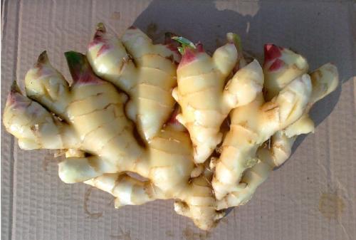 关于山东美食有什么（你会想起什么）