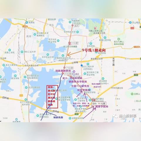 武汉市江夏区属于哪个