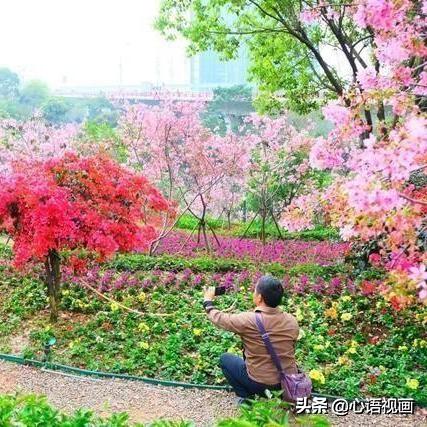 厦门远行客的相关长尾关键词有哪些