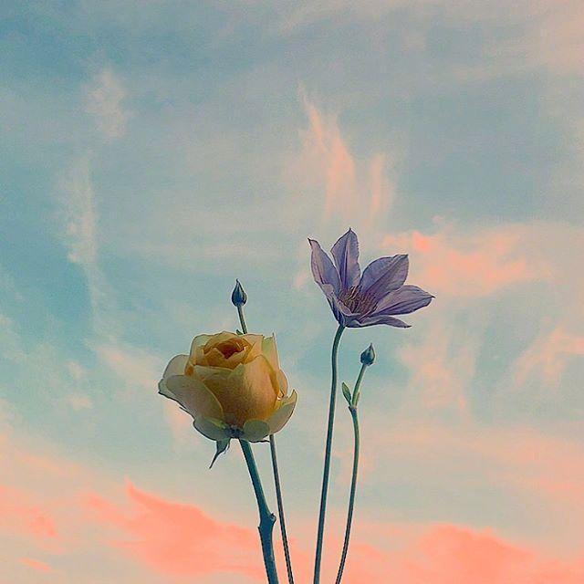 教师节老师简短祝福语2019