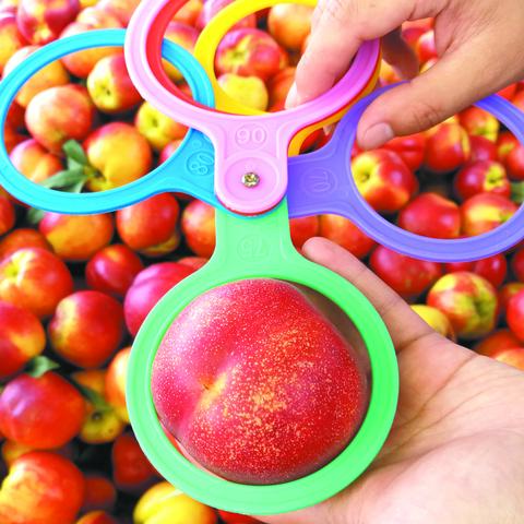 荆州海外电商电话是多少 相关的长尾关键词有哪些 