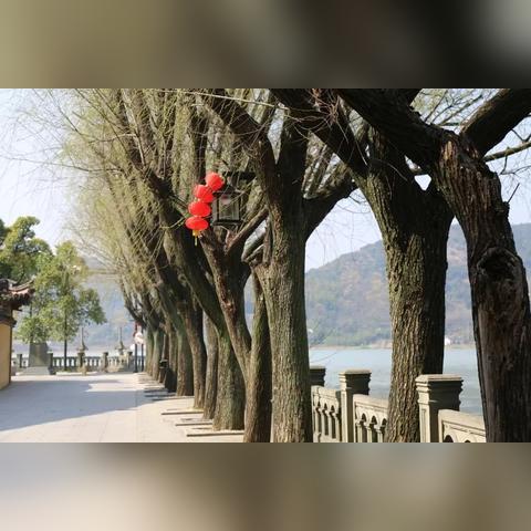 2025年宁波慈溪鸣鹤古镇年糕饺做法体验：亲子活动预约