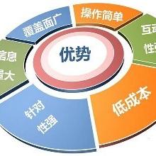 seo几年有效果