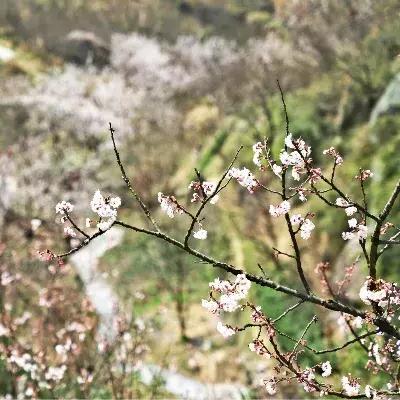 梯田 宁波的相关长尾关键词有哪些