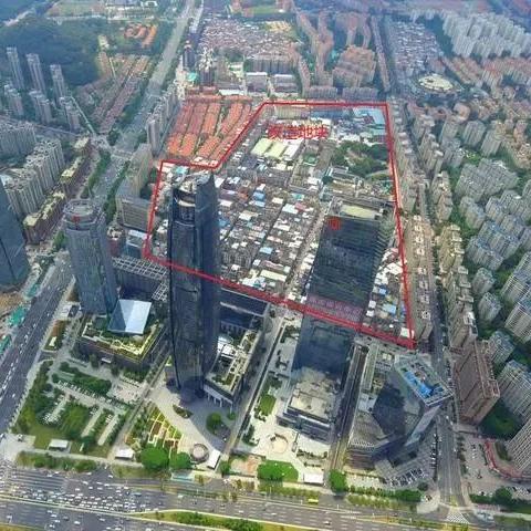 东莞市火炼树怎么样