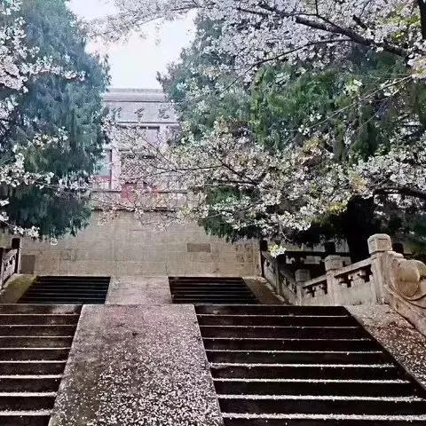 武汉大学初中部属于哪个区？