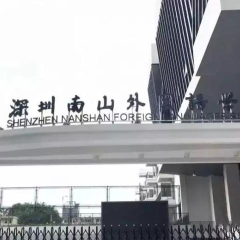 深圳南山第一梯队学校？