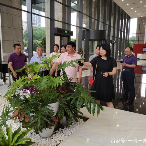 重庆环境怎么样啊