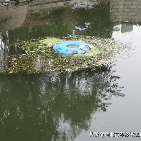 保定市家庭保洁多少钱