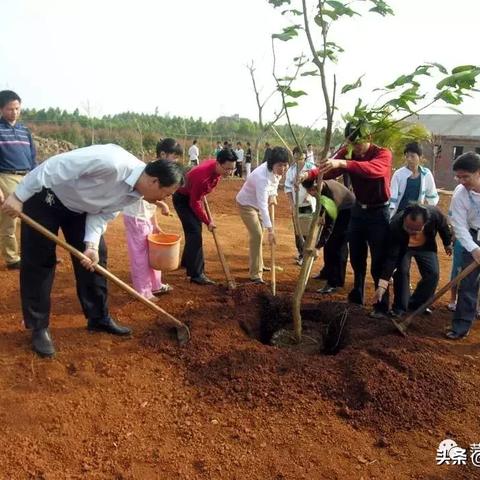 菏泽市人口多少少人了